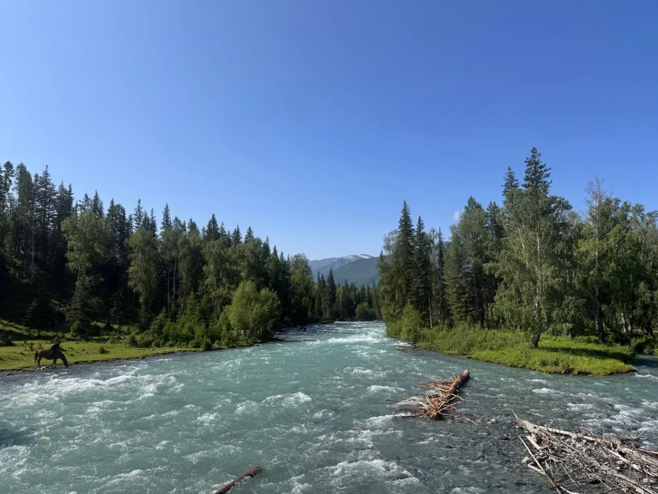 Горная река — лошадь у воды, окрестности Кучерлы